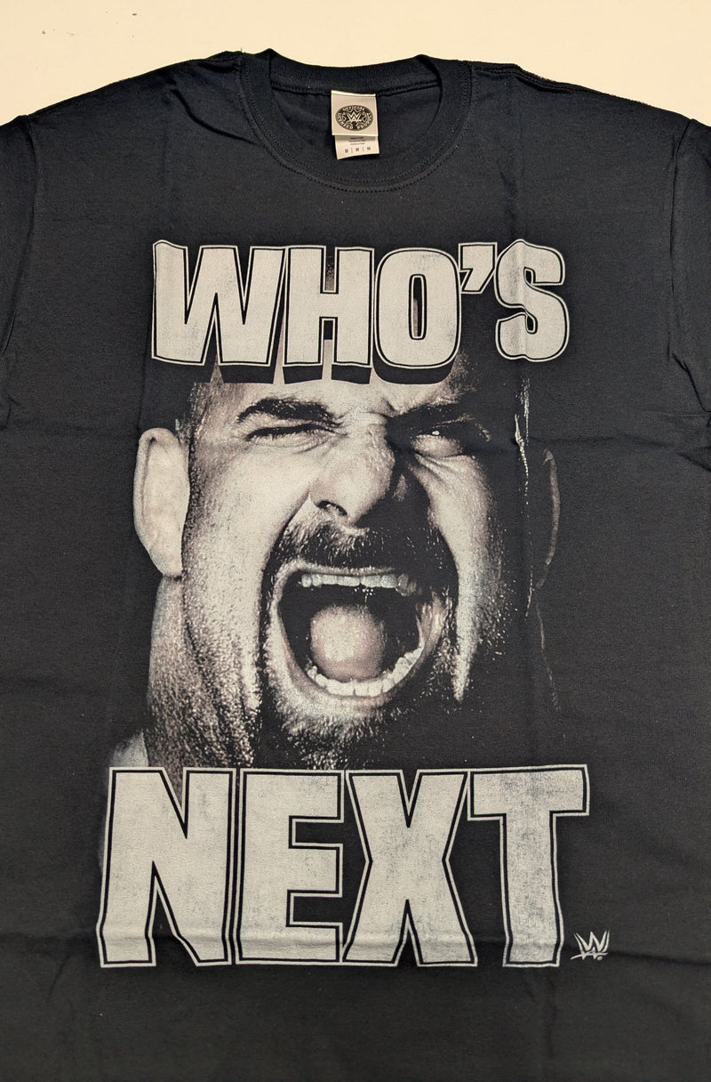Load image into Gallery viewer, 10 Men Size Medium WWE T-shirts | Cena Orton Undertaker The Rock Lot 1 M by EWS | Extreme Wrestling Shirts