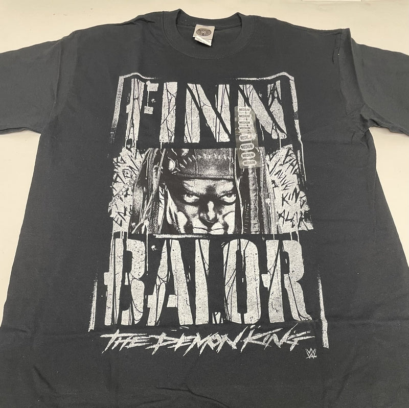 Load image into Gallery viewer, 10 Men Size Medium WWE T-shirts | Cena Orton Undertaker The Rock Lot 2 M by EWS | Extreme Wrestling Shirts