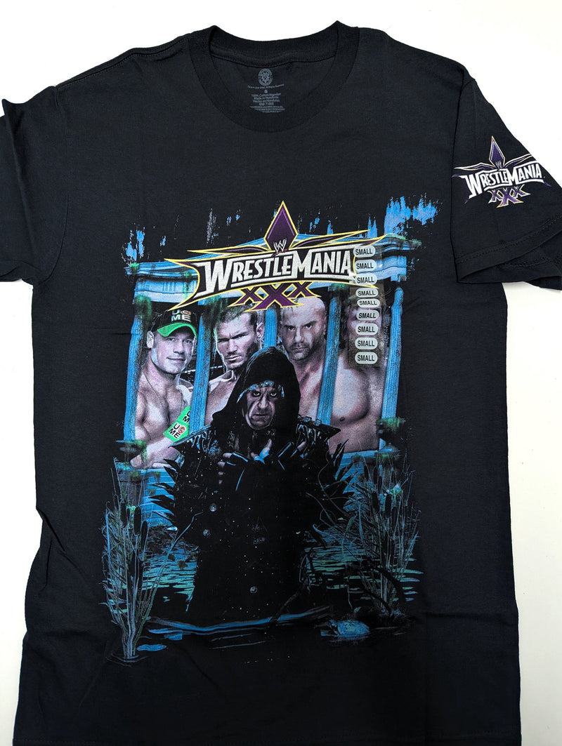 Load image into Gallery viewer, 10 Men Size Small WWE T-shirts | Cena Orton Undertaker The Rock Lot 1 S by EWS | Extreme Wrestling Shirts