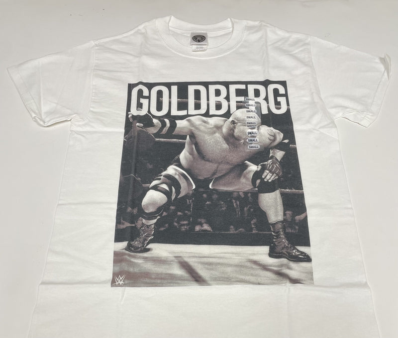 Load image into Gallery viewer, 10 Men Size Small WWE T-shirts | Cena Orton Undertaker The Rock Lot 1 S by EWS | Extreme Wrestling Shirts