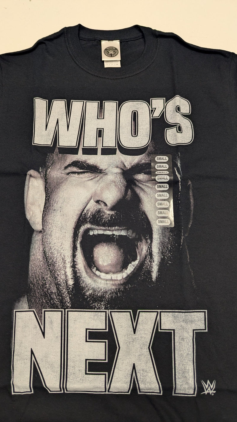 Load image into Gallery viewer, 10 Men Size Small WWE T-shirts | Cena Orton Undertaker The Rock Lot 1 S by EWS | Extreme Wrestling Shirts