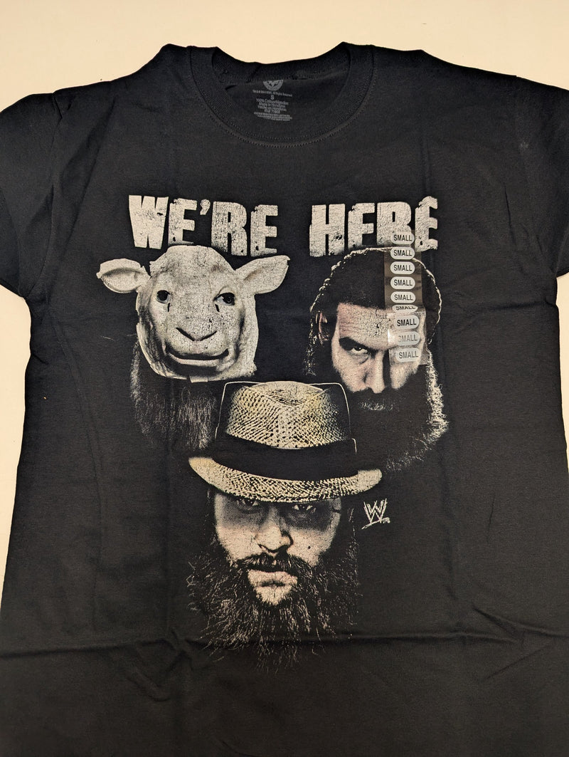 Load image into Gallery viewer, 10 Men Size Small WWE T-shirts | Cena Orton Undertaker The Rock Lot 2 S by EWS | Extreme Wrestling Shirts