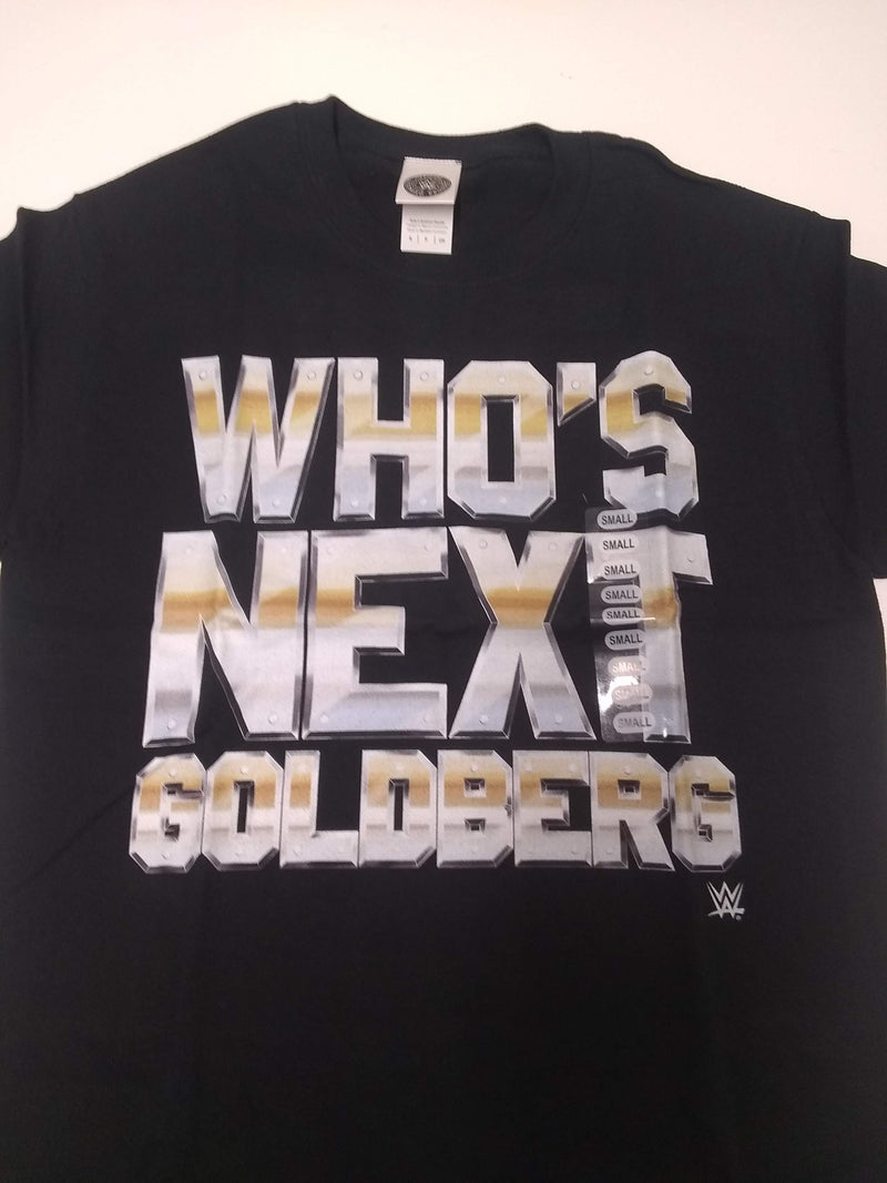 Load image into Gallery viewer, 10 Men Size Small WWE T-shirts | Cena Orton Undertaker The Rock Lot 2 S by EWS | Extreme Wrestling Shirts