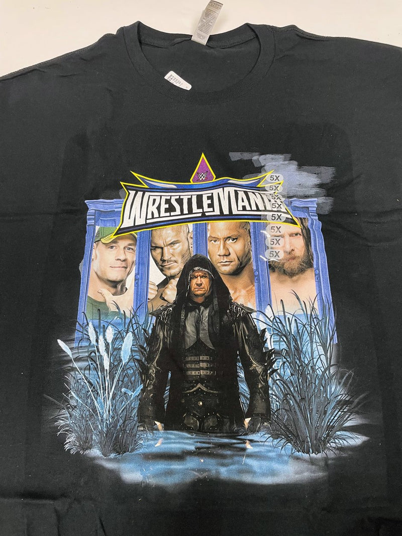 Load image into Gallery viewer, 6 Men Size 5XL WWE T-shirts | Cena Orton Undertaker The Rock Lot 1 5XL by EWS | Extreme Wrestling Shirts
