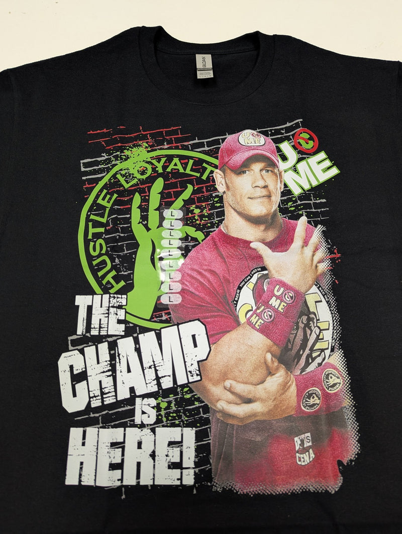 Load image into Gallery viewer, 8 Men Size Large WWE T-shirts | Cena Orton Undertaker The Rock Lot 1 L by EWS | Extreme Wrestling Shirts