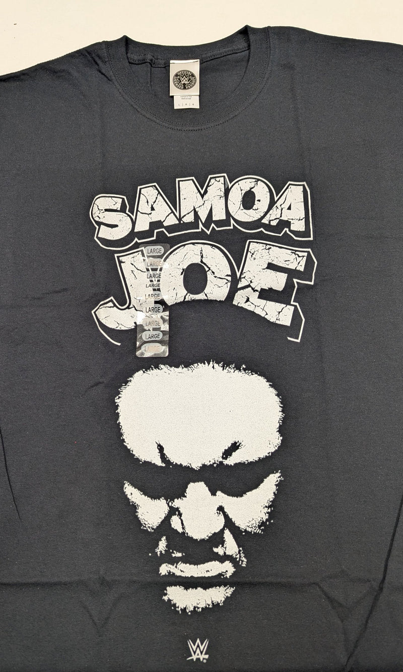 Load image into Gallery viewer, 8 Men Size Large WWE T-shirts | Cena Orton Undertaker The Rock Lot 1 L by EWS | Extreme Wrestling Shirts