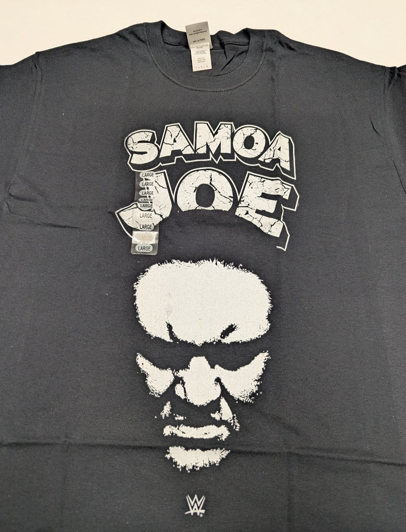 Load image into Gallery viewer, 8 Men Size Large WWE T-shirts | Cena Orton Undertaker The Rock Lot 2 L by EWS | Extreme Wrestling Shirts