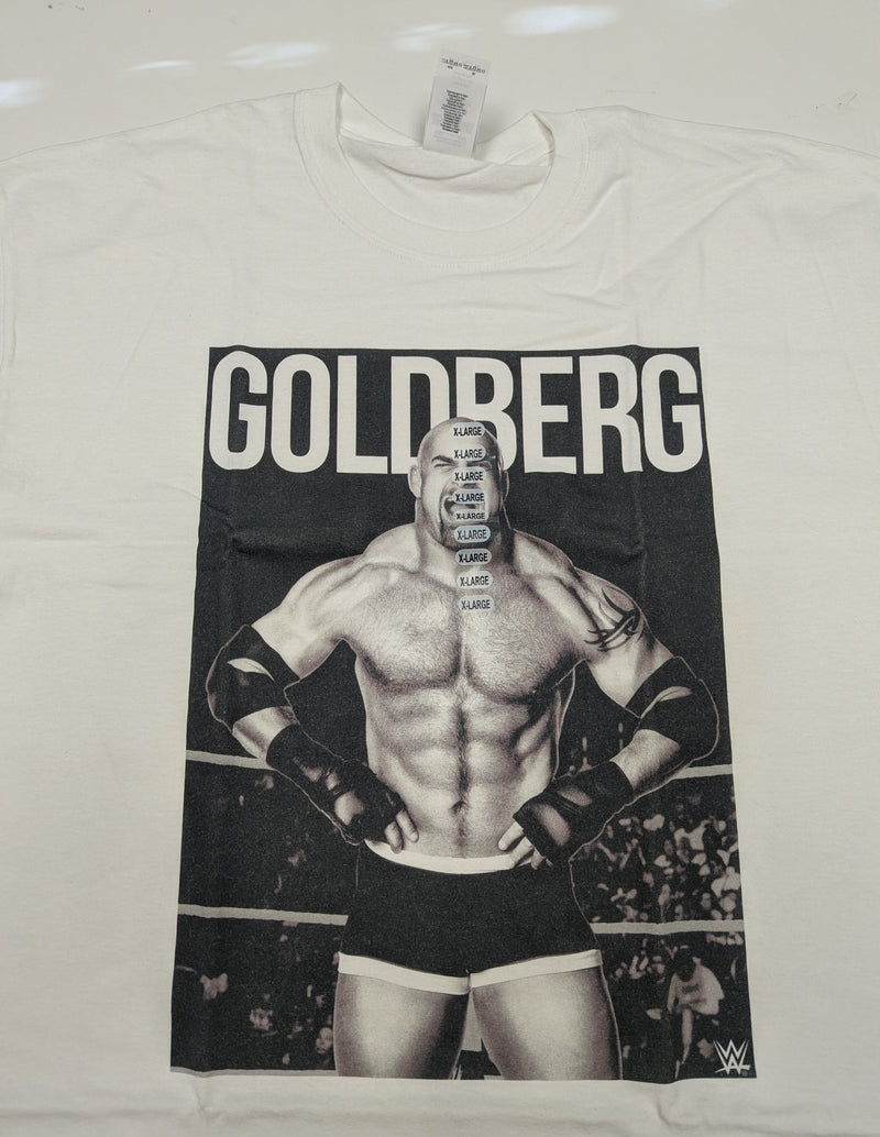 Load image into Gallery viewer, 8 Men Size X-Large WWE T-shirts | Cena Orton Undertaker The Rock Lot 2 XL by EWS | Extreme Wrestling Shirts