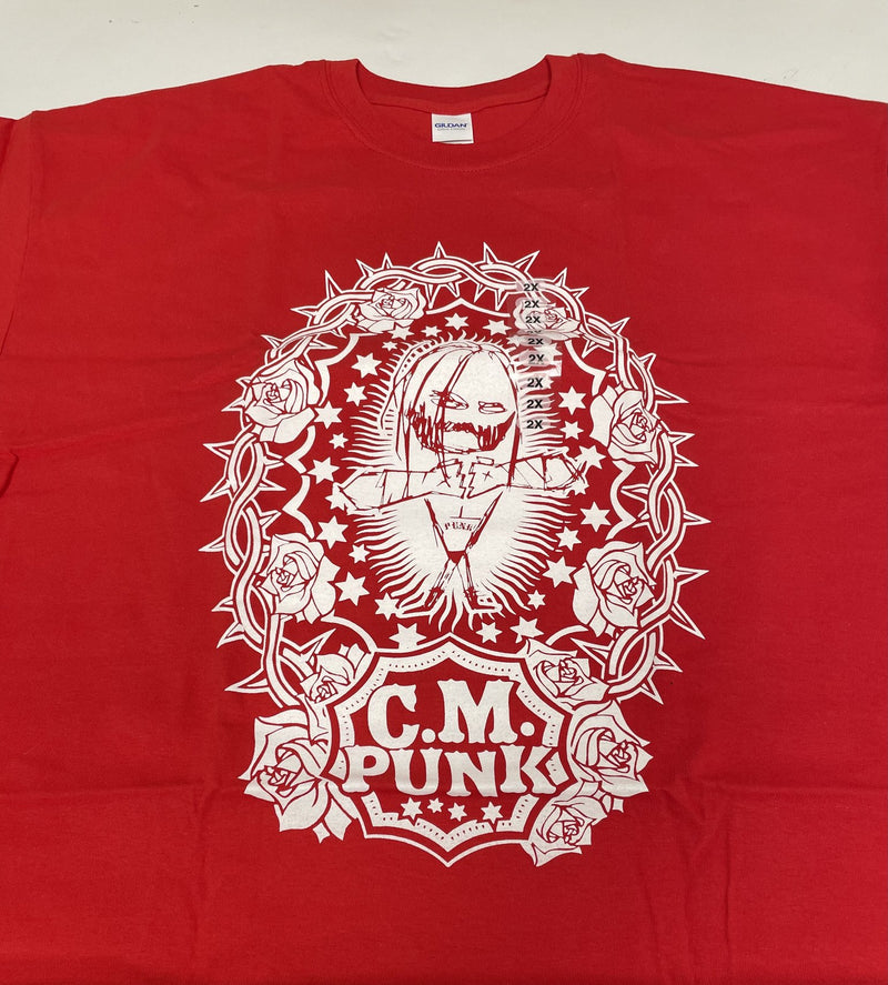 Load image into Gallery viewer, 8 Men Size XXL WWE T-shirts | Cena Orton Undertaker The Rock Lot 2 XXL by EWS | Extreme Wrestling Shirts