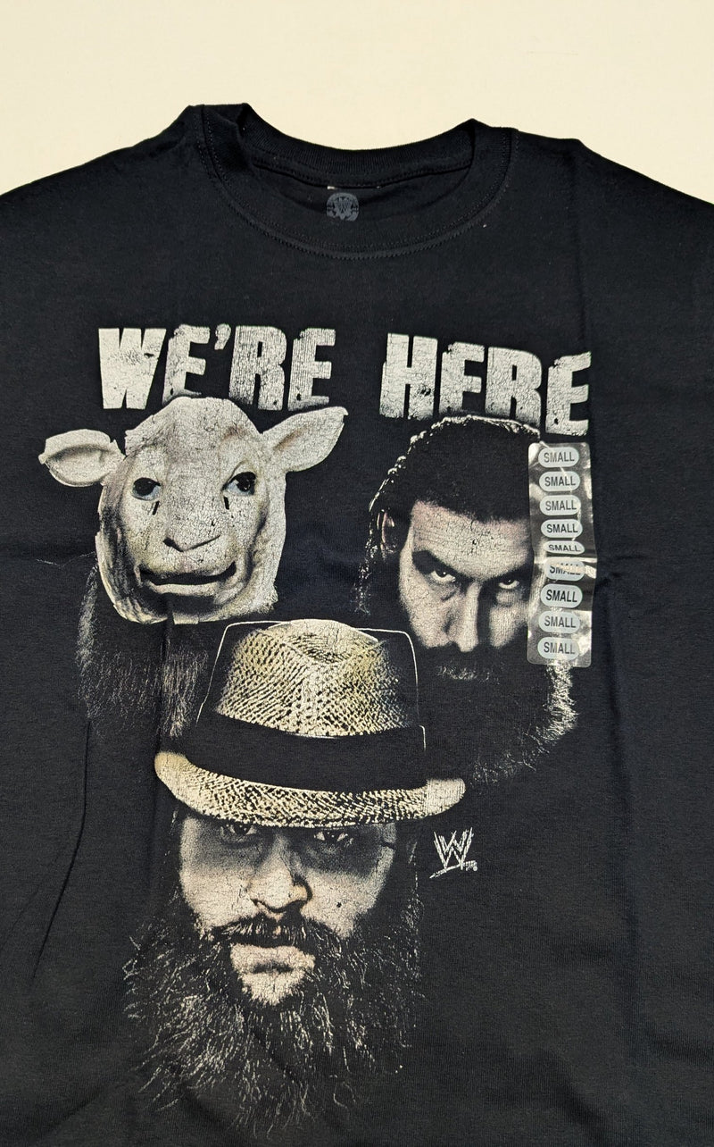 Load image into Gallery viewer, Lot of 10 Men Size Small T-shirts | Cena Orton Undertaker The Rock (S)