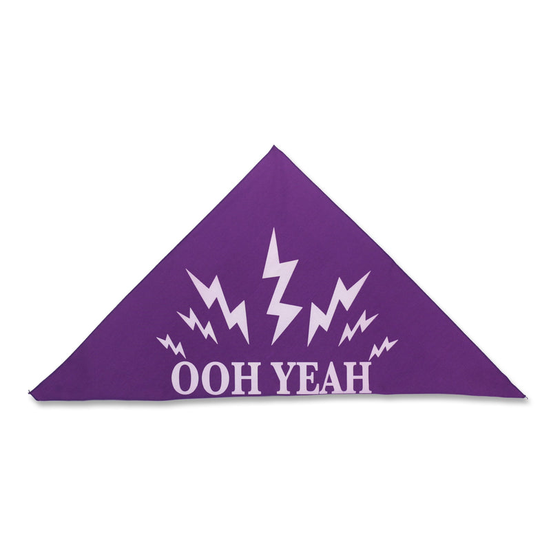 Load image into Gallery viewer, Ooh Yeah Macho Man Randy Savage Adult Bandana Sports Mem, Cards & Fan Shop > Fan Apparel & Souvenirs > Wrestling by Hybrid Tees | Extreme Wrestling Shirts