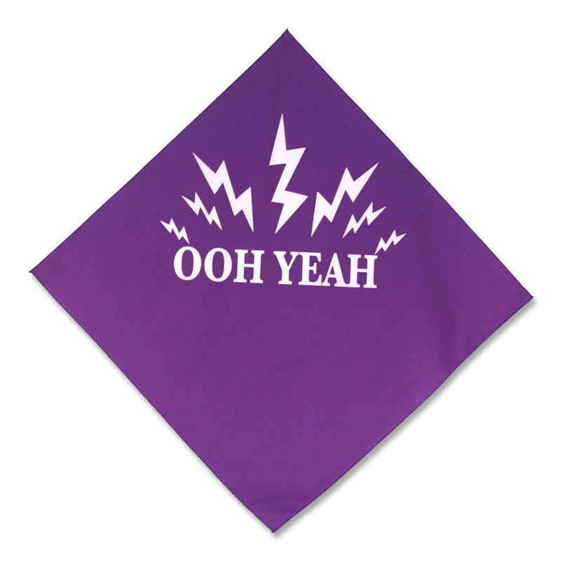 Load image into Gallery viewer, Ooh Yeah Macho Man Randy Savage Adult Bandana Sports Mem, Cards & Fan Shop > Fan Apparel & Souvenirs > Wrestling by Hybrid Tees | Extreme Wrestling Shirts