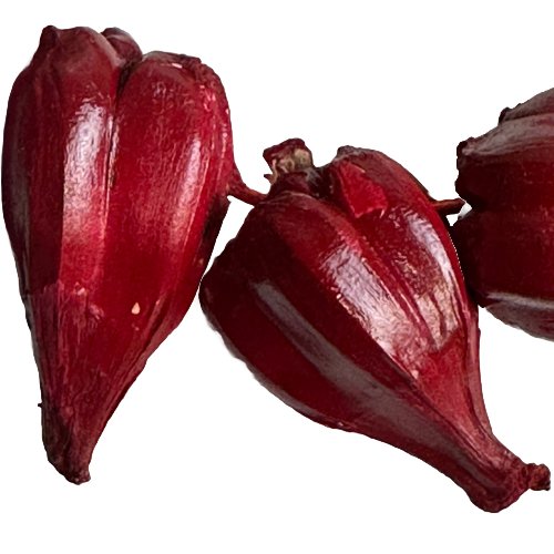 Load image into Gallery viewer, Roman Reigns Tribal Chief Red Ula fala Necklace Costume Accessory by EWS | Extreme Wrestling Shirts