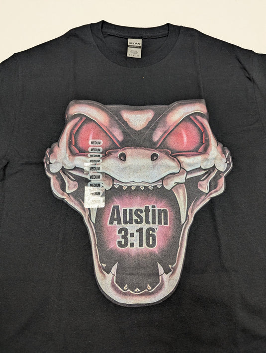 10 Men Size Medium WWE T-shirts | Cena Orton Undertaker The Rock Lot 2 M by EWS | Extreme Wrestling Shirts