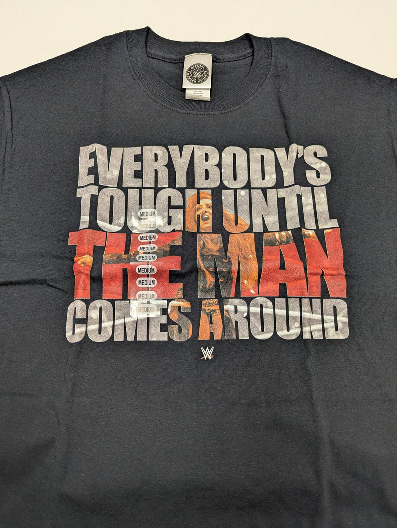 Load image into Gallery viewer, 10 Men Size Medium WWE T-shirts | Cena Orton Undertaker The Rock Lot 2 M by EWS | Extreme Wrestling Shirts
