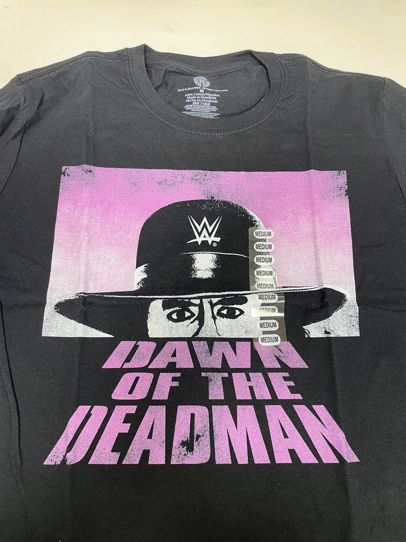 Load image into Gallery viewer, 10 Men Size Medium WWE T-shirts | Cena Orton Undertaker The Rock Lot 2 M by EWS | Extreme Wrestling Shirts
