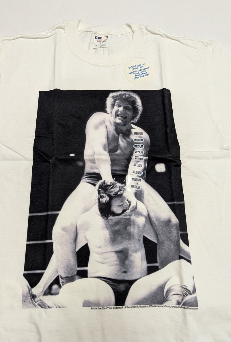 Load image into Gallery viewer, 10 Men Size Medium WWE T-shirts | Cena Orton Undertaker The Rock Lot 2 M by EWS | Extreme Wrestling Shirts
