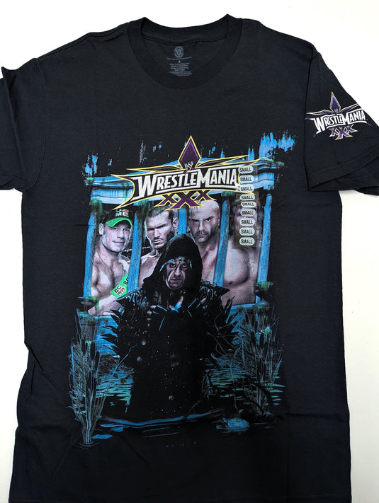 10 Men Size Small WWE T-shirts | Cena Orton Undertaker The Rock Lot 1 S by EWS | Extreme Wrestling Shirts