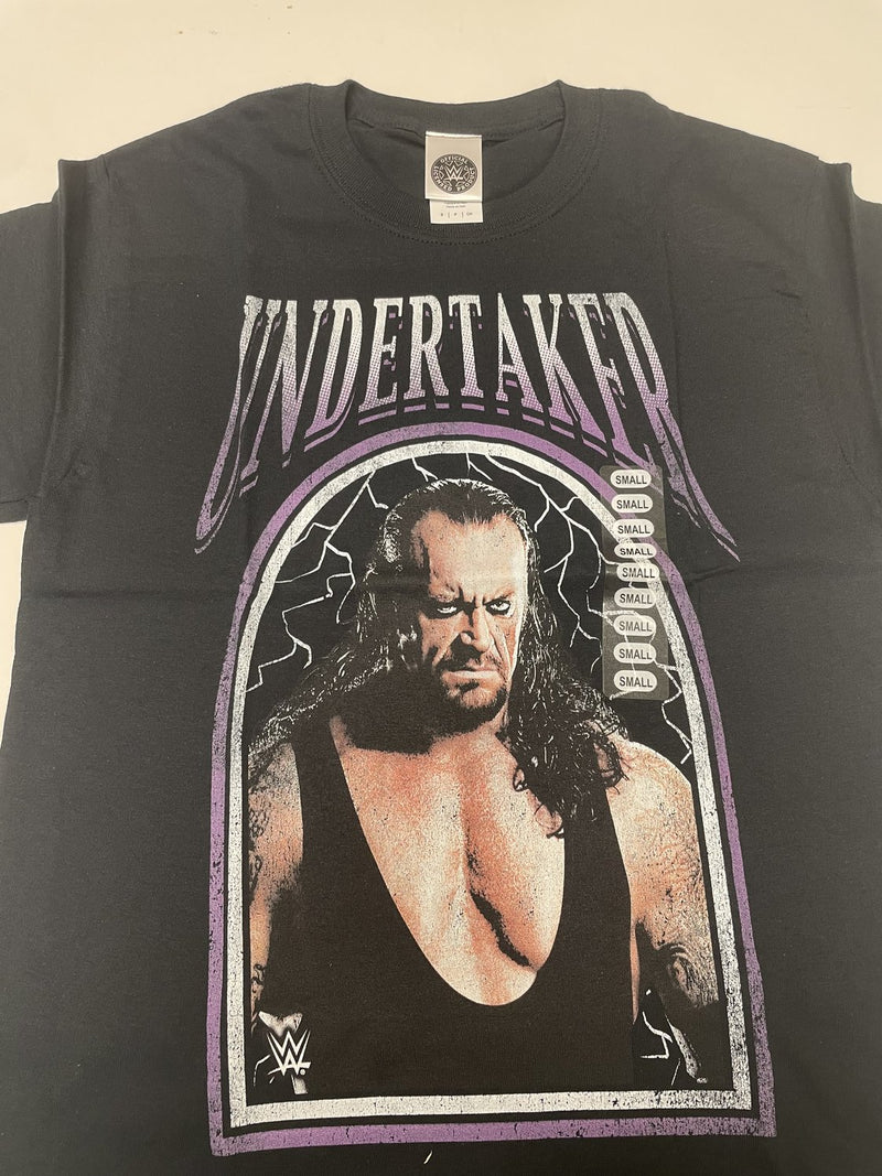 Load image into Gallery viewer, 10 Men Size Small WWE T-shirts | Cena Orton Undertaker The Rock Lot 1 S by EWS | Extreme Wrestling Shirts

