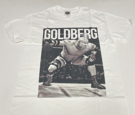 10 Men Size Small WWE T-shirts | Cena Orton Undertaker The Rock Lot 1 S by EWS | Extreme Wrestling Shirts