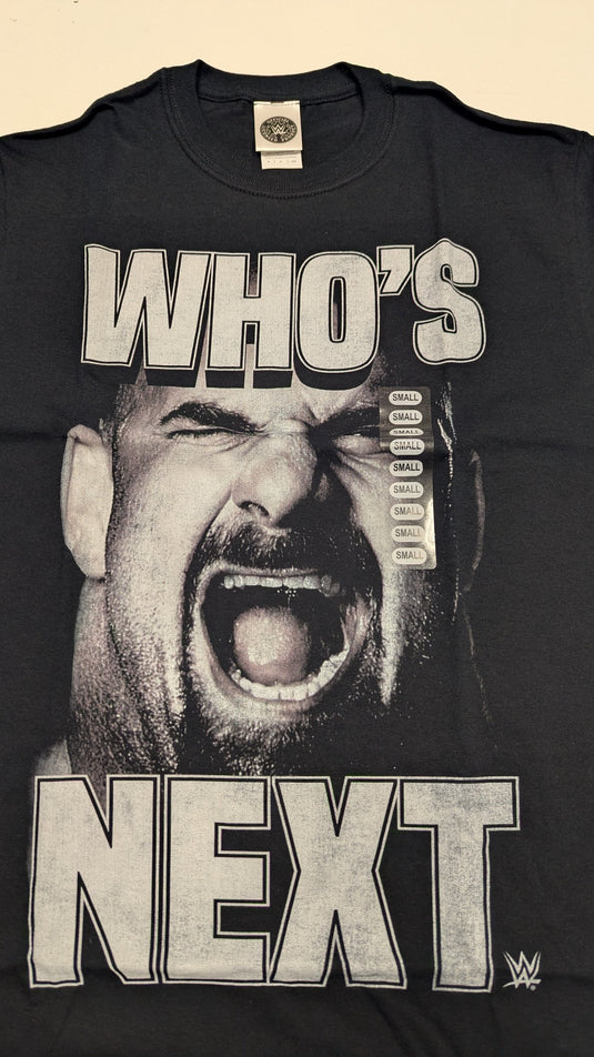 10 Men Size Small WWE T-shirts | Cena Orton Undertaker The Rock Lot 1 S by EWS | Extreme Wrestling Shirts