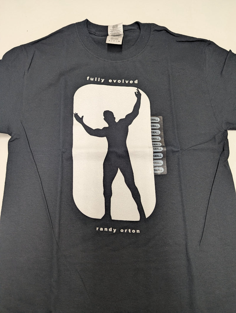 Load image into Gallery viewer, 10 Men Size Small WWE T-shirts | Cena Orton Undertaker The Rock Lot 2 S by EWS | Extreme Wrestling Shirts
