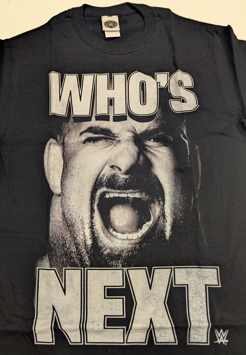 Load image into Gallery viewer, 10 Men Size Small WWE T-shirts | Cena Orton Undertaker The Rock Lot 2 S by EWS | Extreme Wrestling Shirts
