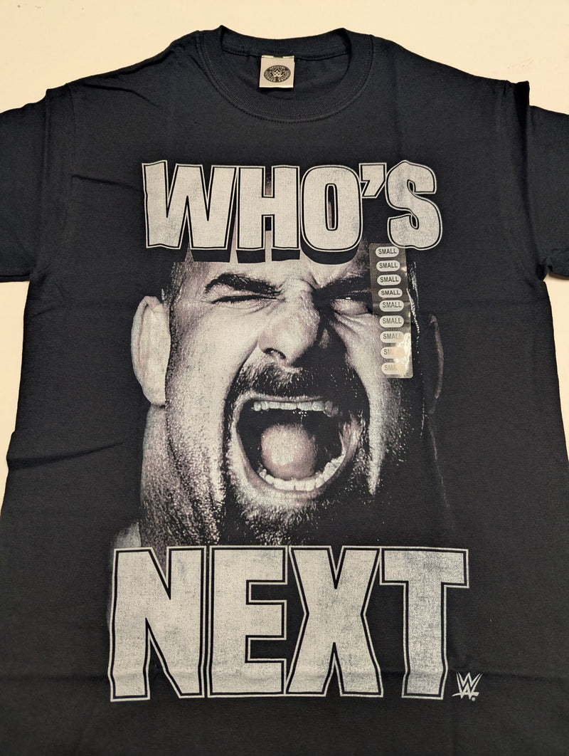 Load image into Gallery viewer, 10 Men Size Small WWE T-shirts | Cena Orton Undertaker The Rock Lot 2 S by EWS | Extreme Wrestling Shirts
