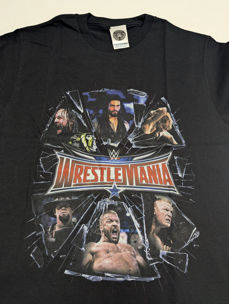 Load image into Gallery viewer, 10 Men Size Small WWE T-shirts | Cena Orton Undertaker The Rock Lot 2 S by EWS | Extreme Wrestling Shirts
