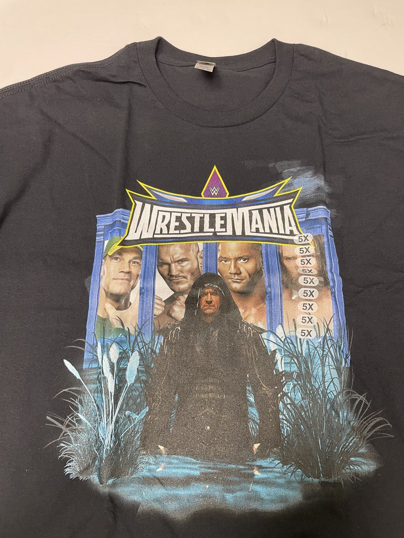 Load image into Gallery viewer, 6 Men Size 5XL WWE T-shirts | Cena Orton Undertaker The Rock Lot 1 5XL by EWS | Extreme Wrestling Shirts
