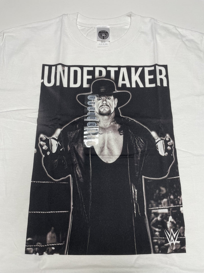 Load image into Gallery viewer, 8 Men Size Large WWE T-shirts | Cena Orton Undertaker The Rock Lot 1 L by EWS | Extreme Wrestling Shirts
