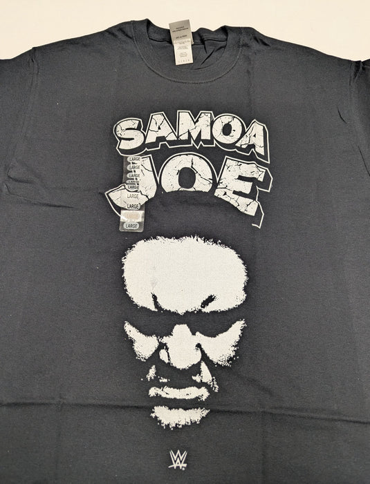 8 Men Size Large WWE T-shirts | Cena Orton Undertaker The Rock Lot 2 L by EWS | Extreme Wrestling Shirts