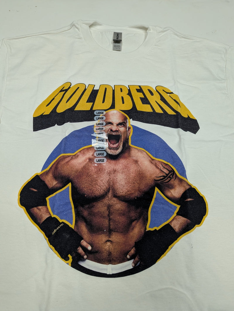 Load image into Gallery viewer, 8 Men Size Large WWE T-shirts | Cena Orton Undertaker The Rock Lot 2 L by EWS | Extreme Wrestling Shirts
