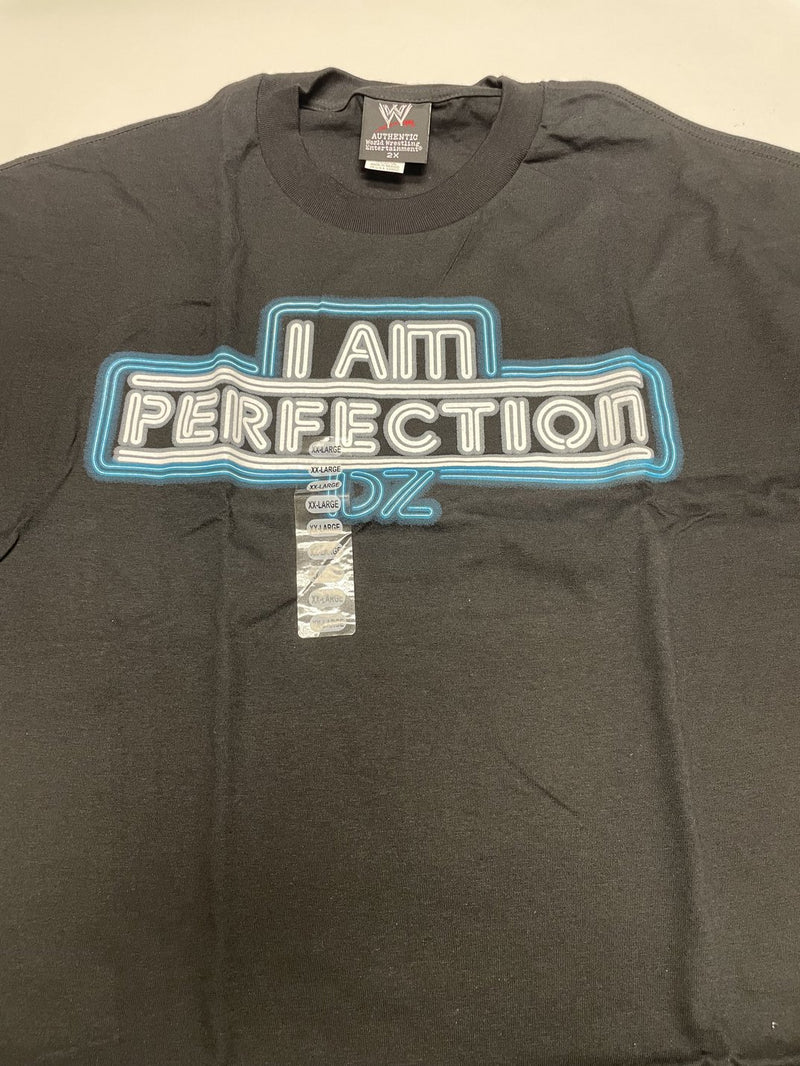 Load image into Gallery viewer, 8 Men Size XXL WWE T-shirts | Cena Orton Undertaker The Rock Lot 1 XXL by EWS | Extreme Wrestling Shirts
