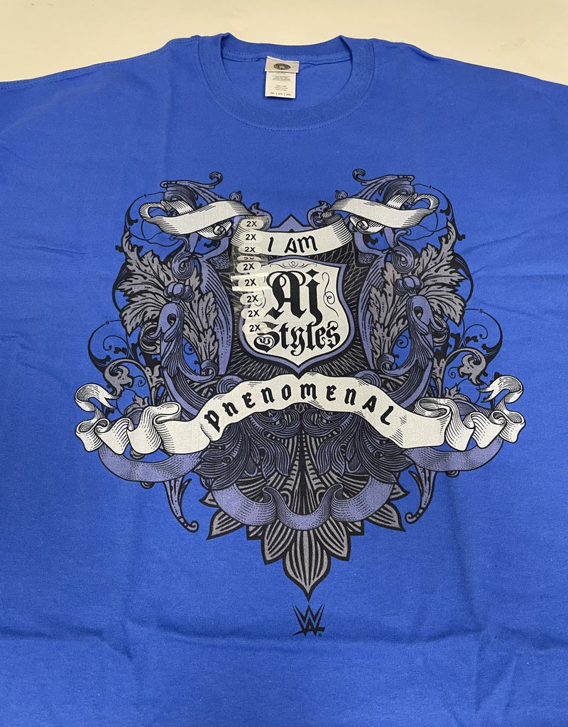 Load image into Gallery viewer, 8 Men Size XXL WWE T-shirts | Cena Orton Undertaker The Rock Lot 2 XXL by EWS | Extreme Wrestling Shirts
