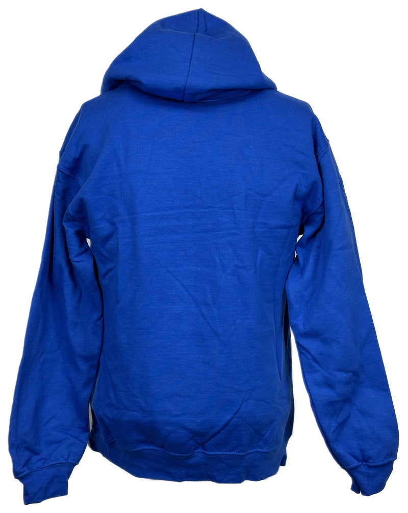 Load image into Gallery viewer, Friday Night Smackdown Blue Pullover Hoody Sweatshirt by EWS | Extreme Wrestling Shirts
