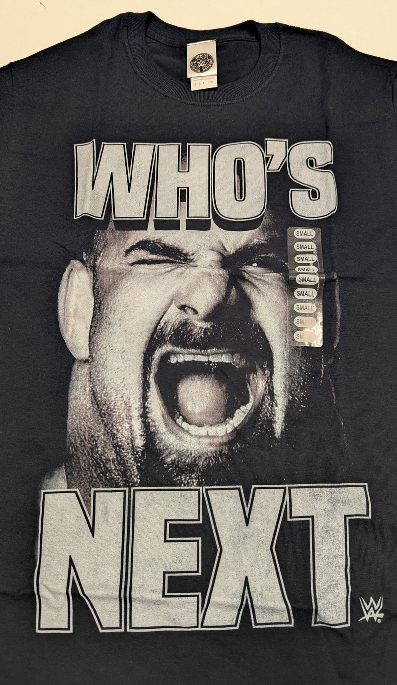 Load image into Gallery viewer, Lot of 10 Men Size Small T-shirts | Cena Orton Undertaker The Rock (S) by EWS | Extreme Wrestling Shirts

