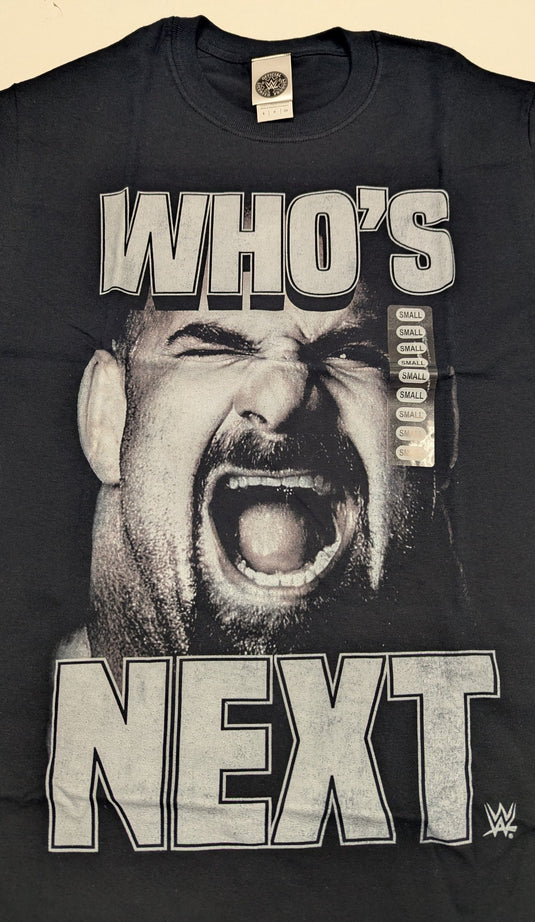 Lot of 10 Men Size Small T-shirts | Cena Orton Undertaker The Rock (S) by EWS | Extreme Wrestling Shirts