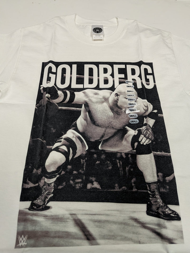 Load image into Gallery viewer, Lot of 10 Men Size Small T-shirts | Cena Orton Undertaker The Rock (S) by EWS | Extreme Wrestling Shirts
