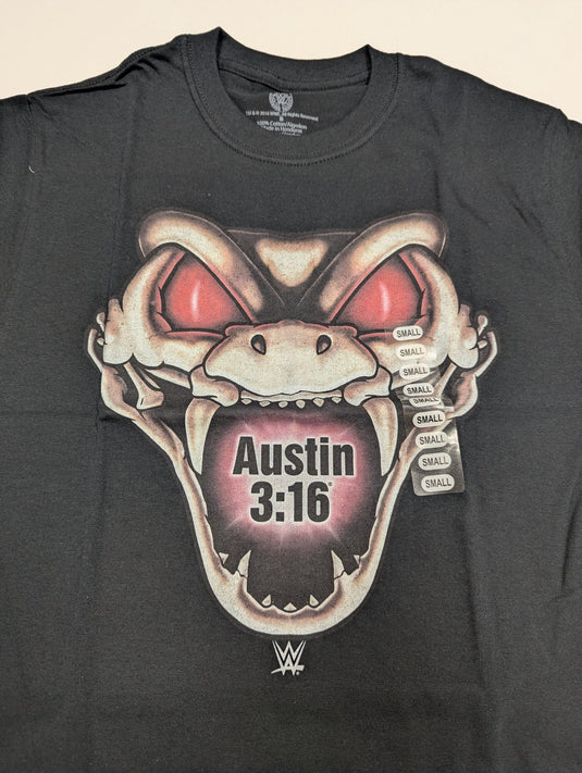 Lot of 10 Men Size Small T-shirts | Cena Orton Undertaker The Rock (S) by EWS | Extreme Wrestling Shirts