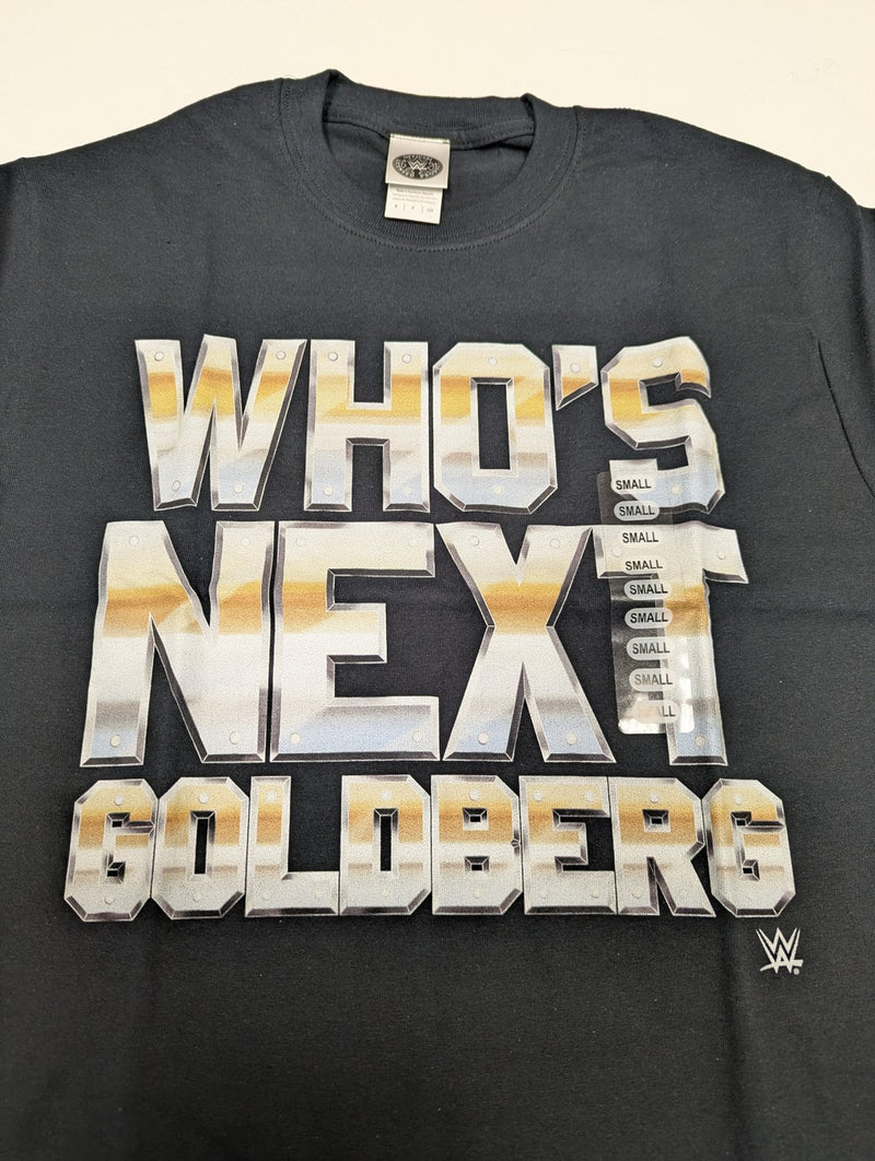 Load image into Gallery viewer, Lot of 10 Men Size Small T-shirts | Cena Orton Undertaker The Rock (S) by EWS | Extreme Wrestling Shirts
