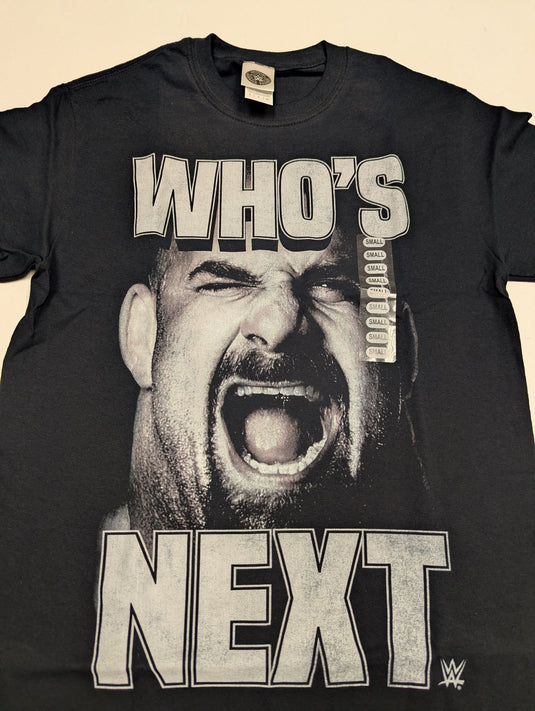 Lot of 10 Men Size Small T-shirts | Cena Orton Undertaker The Rock (S) by EWS | Extreme Wrestling Shirts