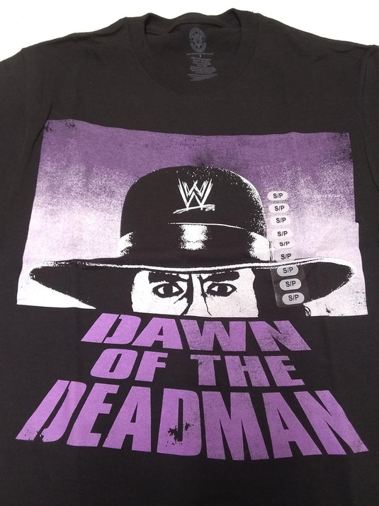 Lot of 10 Men Size Small WWE T-shirts | Cena Orton Undertaker The Rock (S) by EWS | Extreme Wrestling Shirts