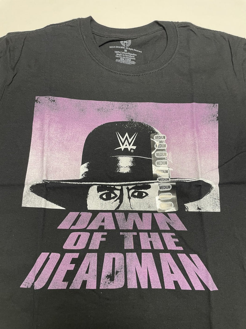 Load image into Gallery viewer, 10 Men Size Medium WWE T-shirts | Cena Orton Undertaker The Rock Lot 2
