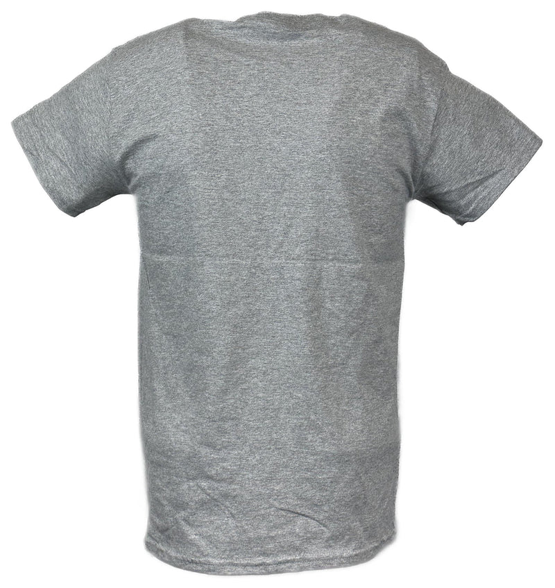 Load image into Gallery viewer, Becky Lynch Big Name Grey T-shirt
