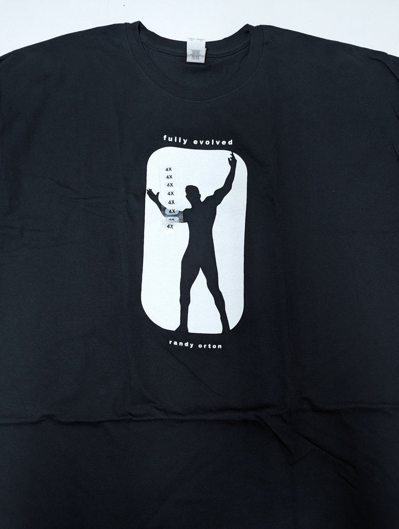 Load image into Gallery viewer, Lot of 6 Men Size 4XL T-shirts | Cena Orton Undertaker The Rock (4XL)
