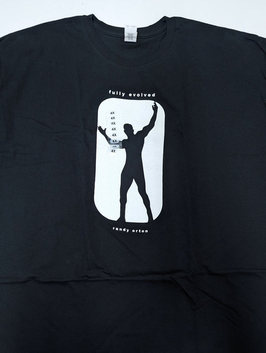 Lot of 6 Men Size 4XL T-shirts | Cena Orton Undertaker The Rock (4XL)