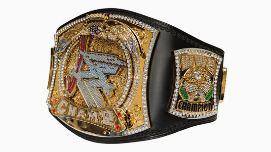 WWE Championship John Cena Spinner Replica Title Belt Spinning Plate