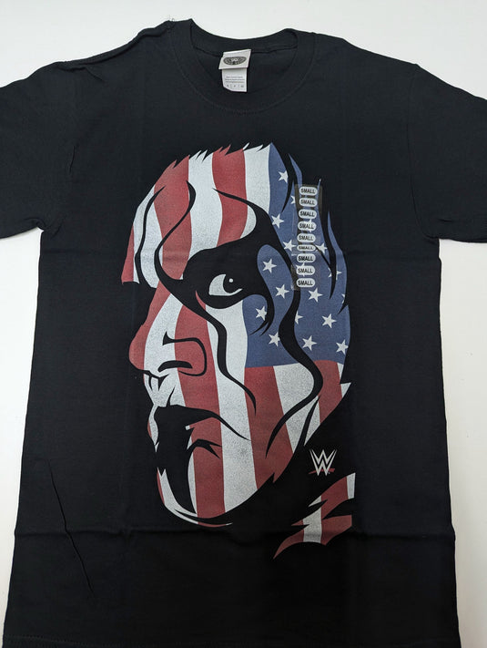 Lot of 10 Men Size Small T-shirts | Cena Orton Undertaker The Rock (S)