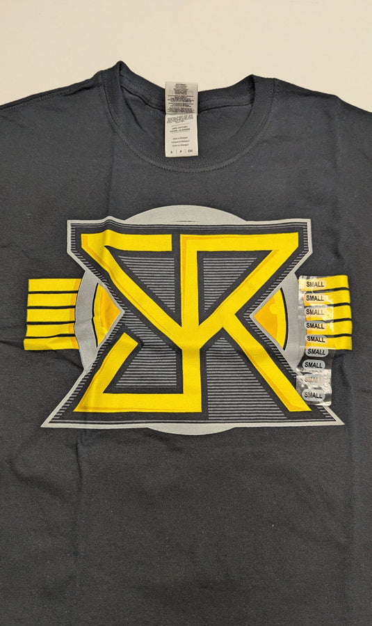 Lot of 10 Men Size Small T-shirts | Cena Orton Undertaker The Rock (S)